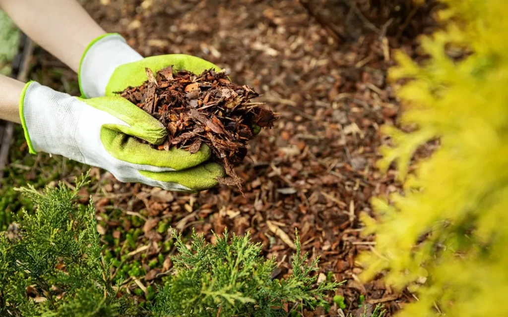 mulch delivery company in cincinnati